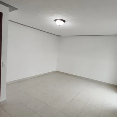 44304.jpg